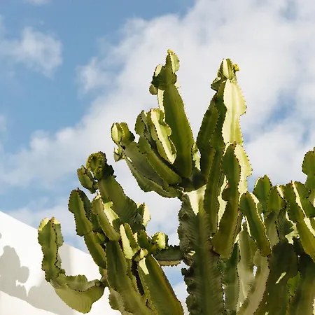 别墅 Casa Jable Azul 阿德耶