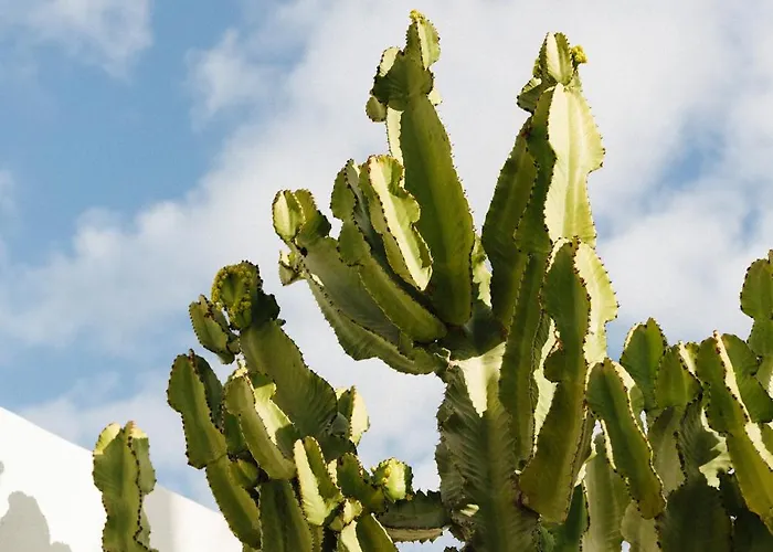 Villa Casa Jable Azul Costa Adeje (Tenerife)